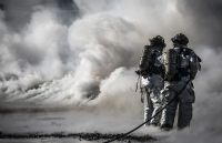 À qui la faute?
